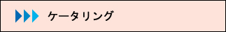 イベント・ロケでのケータリングとお弁当